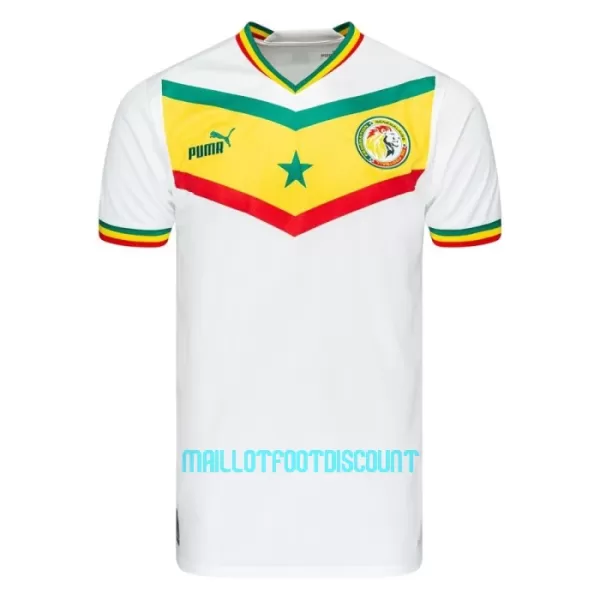 Maillot De Foot Sénégal Domicile Coupe du Monde 2022