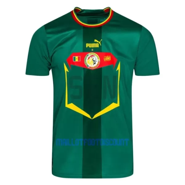 Maillot De Foot Sénégal Extérieur Coupe du Monde 2022