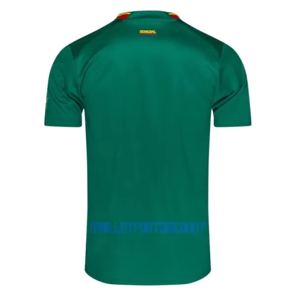 Maillot De Foot Sénégal Extérieur Coupe du Monde 2022