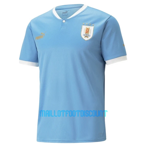 Maillot De Foot Uruguay Domicile Coupe du Monde 2022