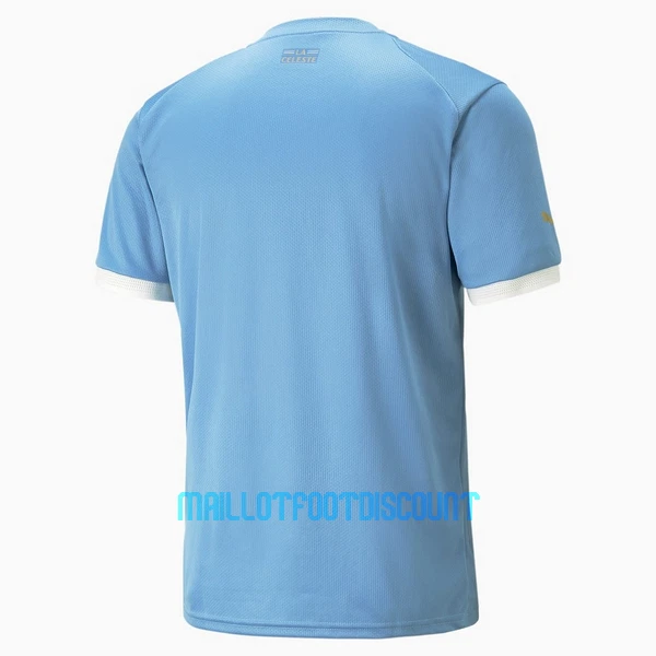 Maillot De Foot Uruguay Domicile Coupe du Monde 2022