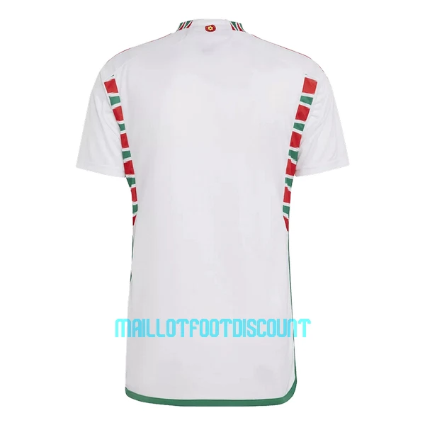 Maillot De Foot Pays de Galles Extérieur Coupe du Monde 2022