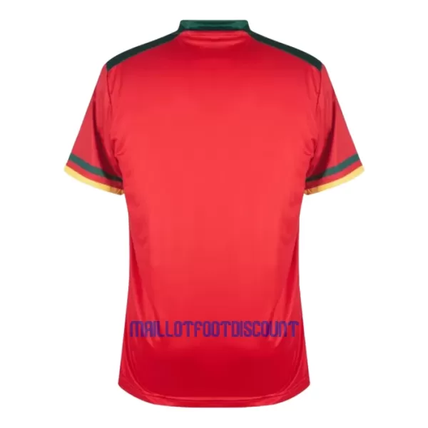 Maillot De Foot Cameroun Third Coupe du Monde 2022