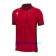 Maillot De Foot Albanie Domicile 2023