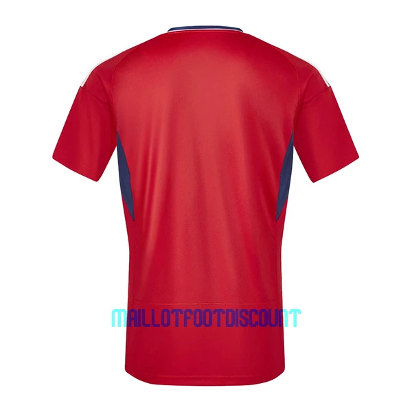 Maillot De Foot Costa Rica Domicile 2023