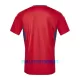 Maillot De Foot Costa Rica Domicile 2023