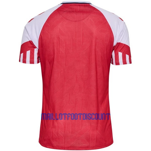 Maillot De Foot Danemark Domicile 2023