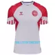 Maillot De Foot Danemark Extérieur 2023