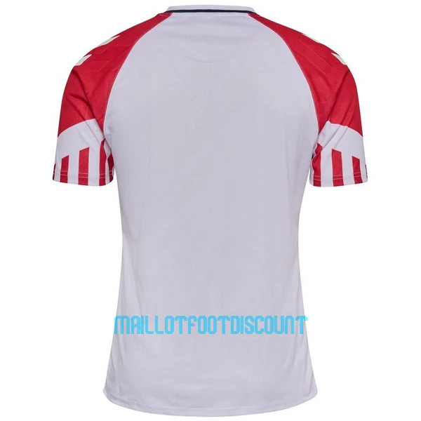 Maillot De Foot Danemark Extérieur 2023