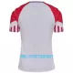 Maillot De Foot Danemark Extérieur 2023