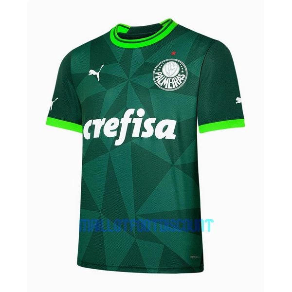 Maillot De Foot Palmeiras Domicile 23/24