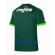 Maillot De Foot Palmeiras Domicile 23/24