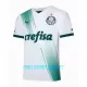 Maillot De Foot Palmeiras Extérieur 23/24