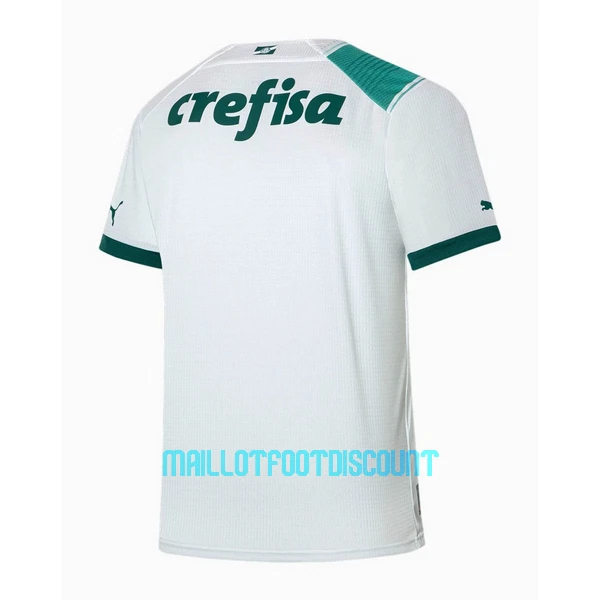 Maillot De Foot Palmeiras Extérieur 23/24