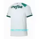 Maillot De Foot Palmeiras Extérieur 23/24