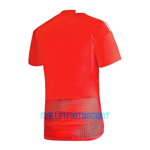 Maillot De Foot Pérou Extérieur 2023