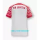 Maillot De Foot RB Leipzig Domicile 23/24