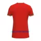 Maillot De Foot Roumanie Extérieur 2023