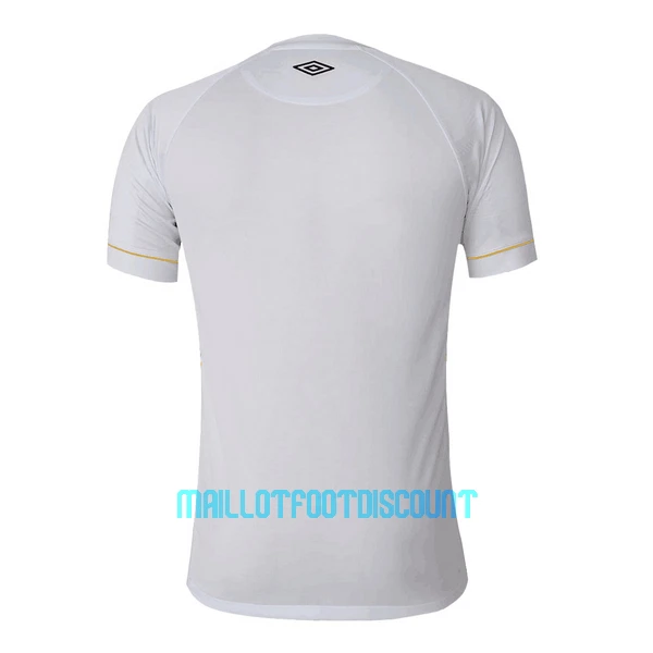 Maillot De Foot Santos FC Domicile 23/24