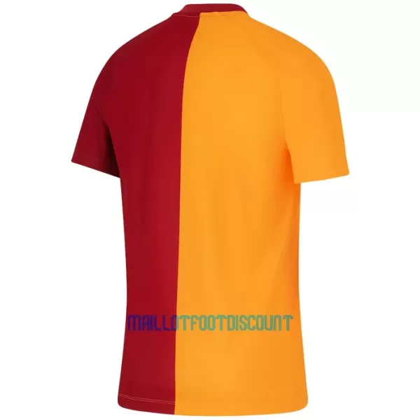 Maillot De Foot Galatasaray SK Domicile 23/24