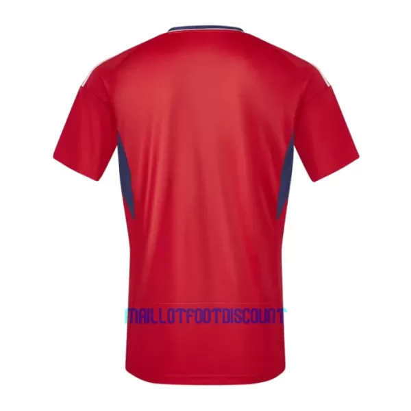 Maillot De Foot Costa Rica Domicile 2023