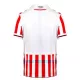 Maillot De Foot Stoke City Domicile 23/24