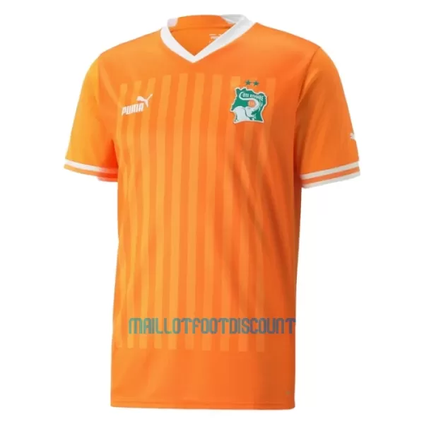 Maillot De Foot Côte d Ivoire Domicile 23/24