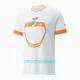 Maillot De Foot Côte d Ivoire Extérieur 23/24