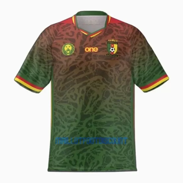 Maillot De Foot Cameroun Domicile 23/24