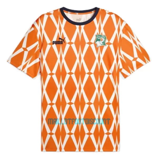 Maillot De Foot Côte d Ivoire Domicile 23/24