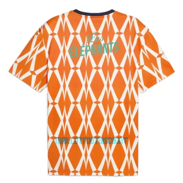 Maillot De Foot Côte d Ivoire Domicile 23/24