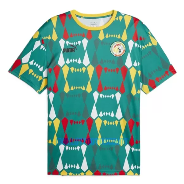 Maillot De Foot Sénégal Domicile 23/24