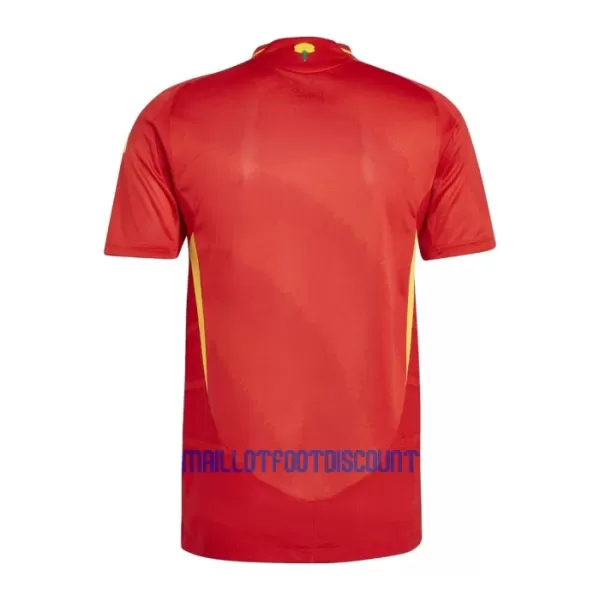 Maillot De Foot Espagne Domicile Euro 2024