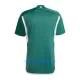 Maillot De Foot Northern Irlande Domicile 2022