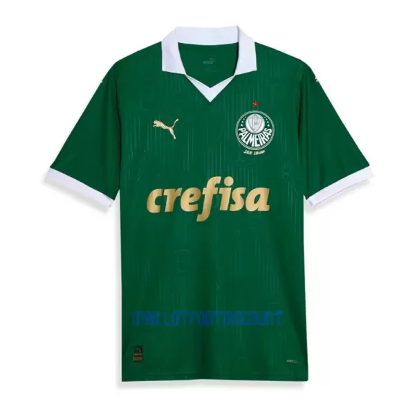 Maillot De Foot Palmeiras Domicile 24/25