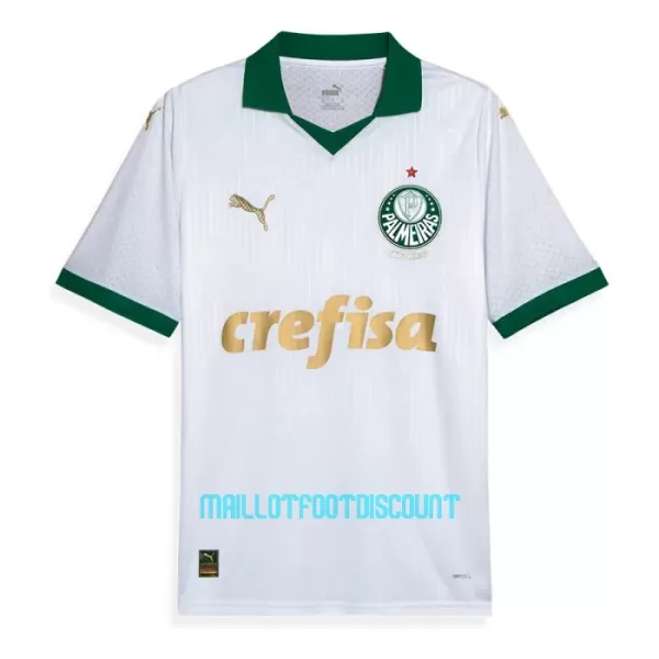 Maillot De Foot Palmeiras Extérieur 24/25