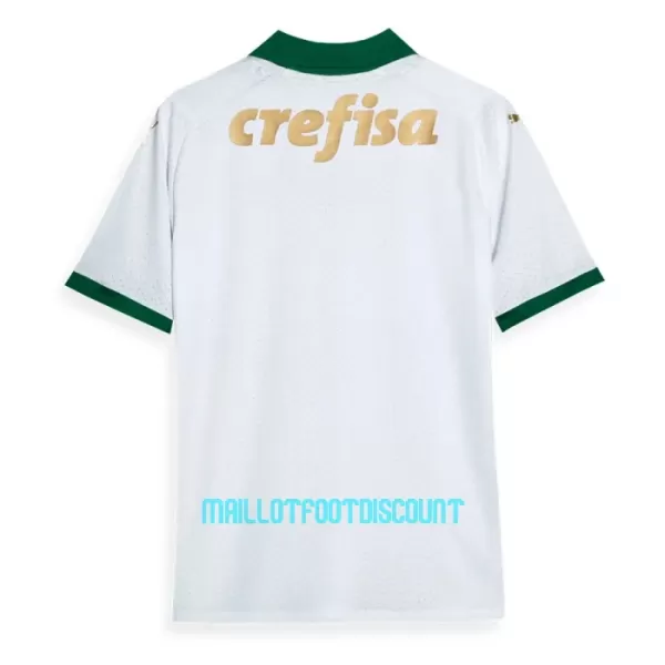 Maillot De Foot Palmeiras Extérieur 24/25