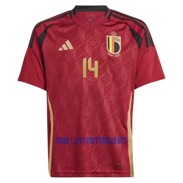 Kit De Football Belgique Lukebakio 14 Enfant Domicile Euro 2024