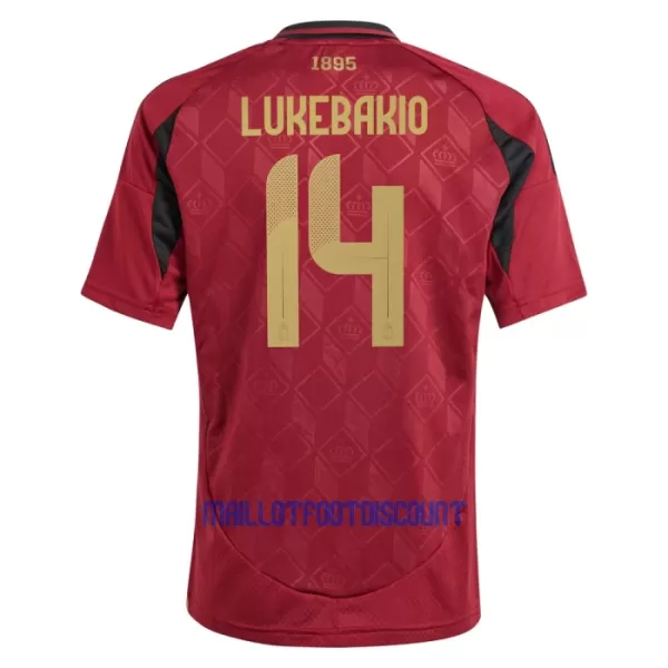 Kit De Football Belgique Lukebakio 14 Enfant Domicile Euro 2024