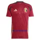 Maillot De Foot Belgique Domicile Euro 2024