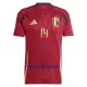 Maillot De Foot Belgique Lukebakio 14 Domicile Euro 2024