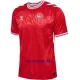 Maillot De Foot Danemark Domicile Euro 2024