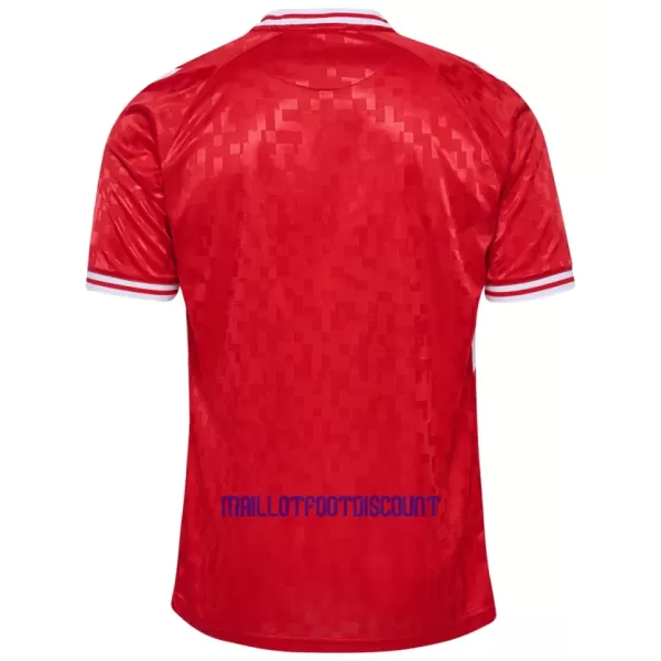 Maillot De Foot Danemark Domicile Euro 2024