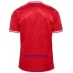 Maillot De Foot Danemark Domicile Euro 2024