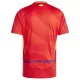 Maillot De Foot Espagne Domicile Euro 2024