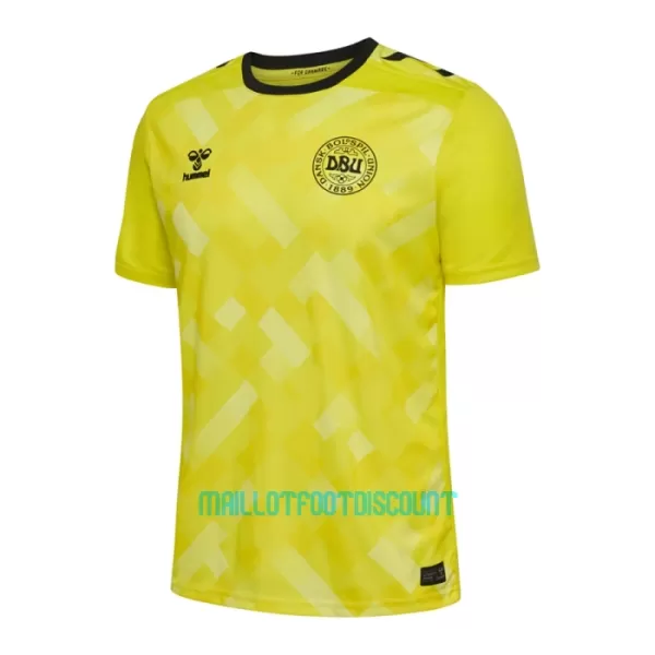 Maillot De Foot Gardien Danemark Euro 2024 Jaune