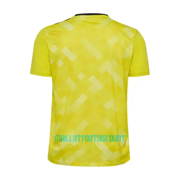 Maillot De Foot Gardien Danemark Euro 2024 Jaune