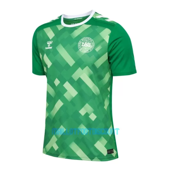 Maillot De Foot Gardien Danemark Euro 2024 Vert