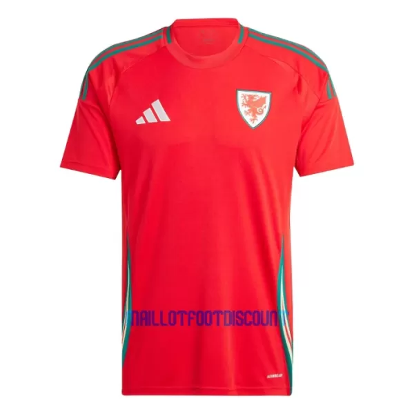 Maillot De Foot Pays de Galles Domicile 2024