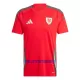 Maillot De Foot Pays de Galles Domicile 2024